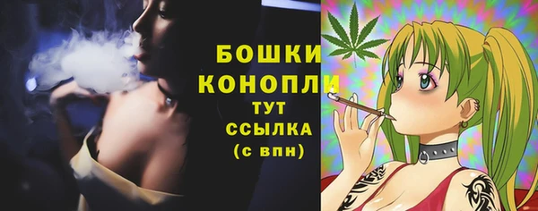 амф Кукмор