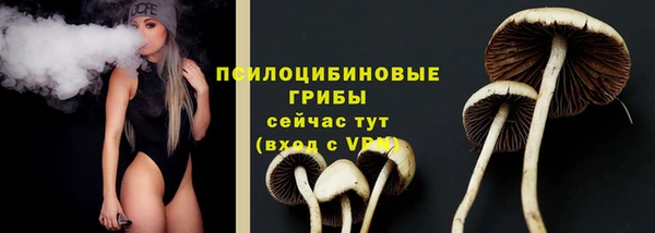эйфоретик Кулебаки