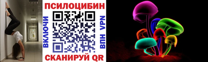 купить наркоту  Омутнинск  Псилоцибиновые грибы мицелий 